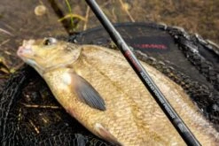 Ultimate Allround Power Feeder -FIS Hengels Winkel 01299b08f65e9c2a