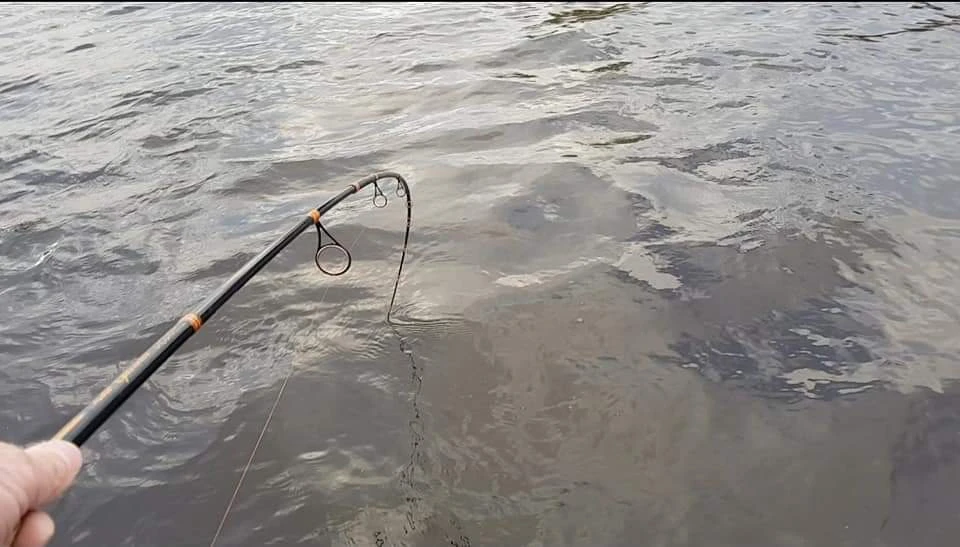 Patriot Pike Specialist Hyrräkelavapa Baitcasthengel 2.44m (15-75g) 1 Patriot Pike Specialist Hyrräkelavapa Baitcasthengel 2.44m (15-75g)