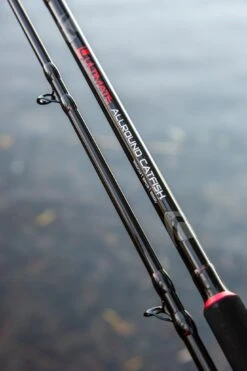 Ultimate Allround Catfish 300cm, Meervalhengel 25 Ultimate Allround Catfish 300cm, Meervalhengel -FIS Hengels Winkel 118dbeada876c8d2