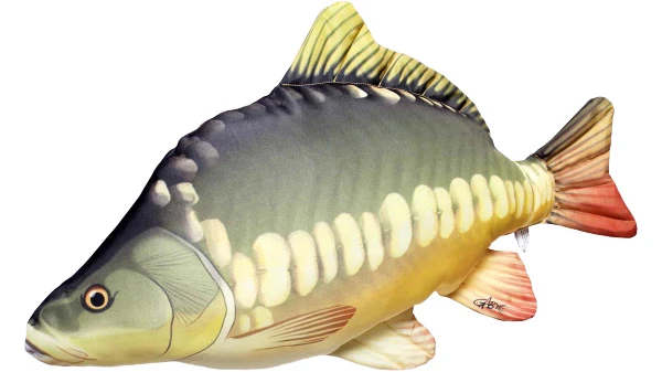 Gaby The Carp 61cm 1 Gaby The Carp 61cm