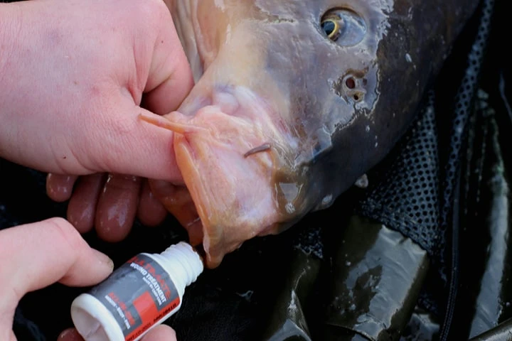 Ultimate All In One Wound Treatment 1 Ultimate All In One Wound Treatment