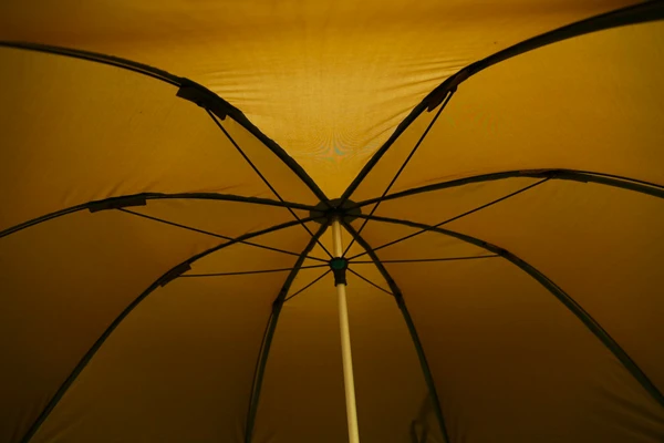 Fox 60'' Brolly 1 Fox 60'' Brolly