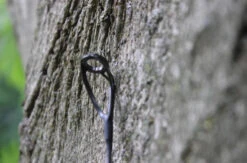 Ashima FFX-P 10ft 3lb 5 Ashima FFX-P 10ft 3lb -FIS Hengels Winkel 6d1300dab89f2583