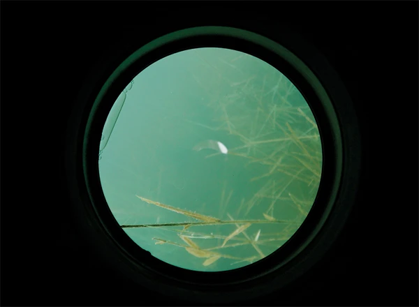 Carp Spirit Water Scanner 1 Carp Spirit Water Scanner