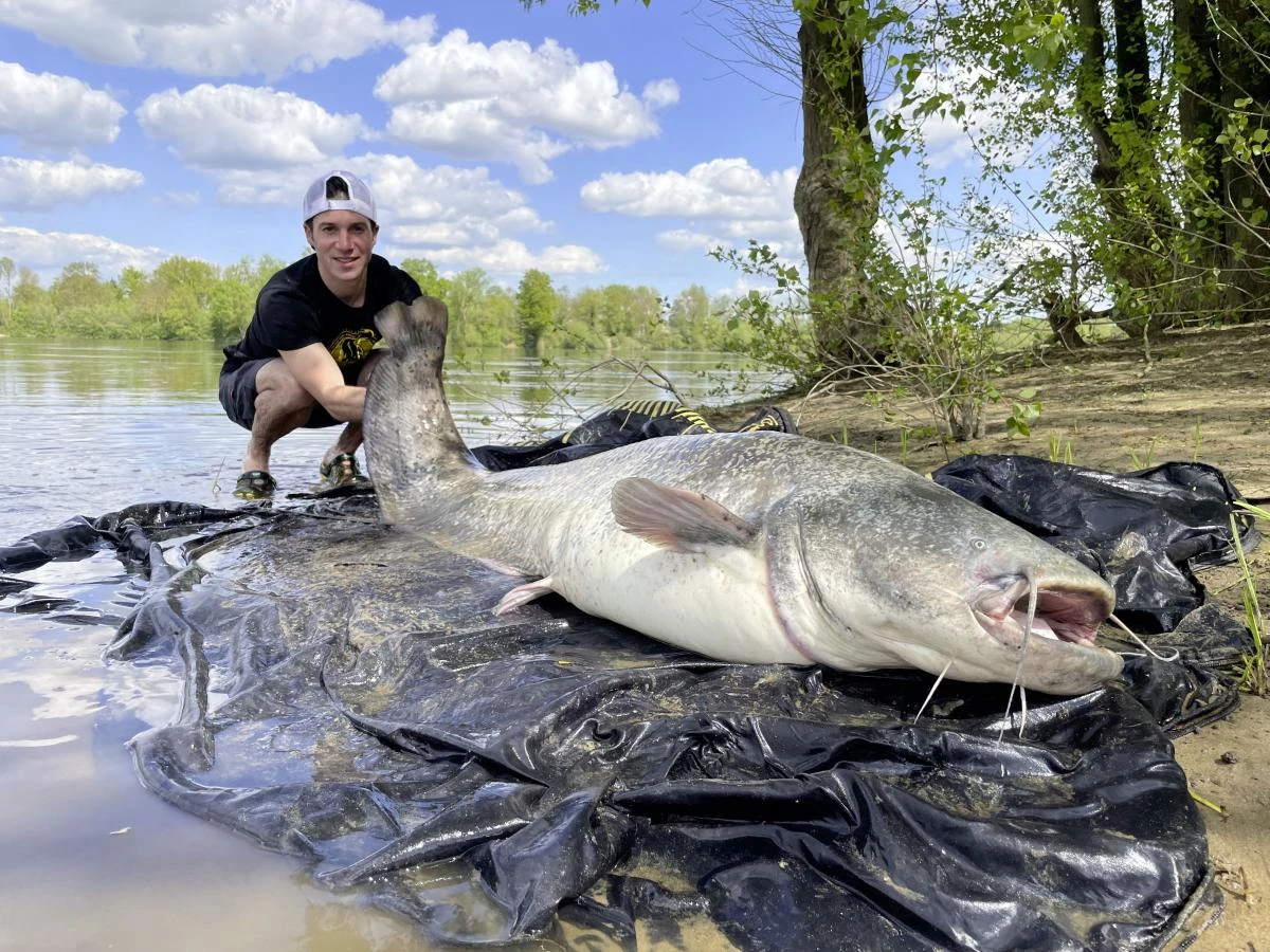 Black Cat Freestyle Spin 2,70m 1 Black Cat Freestyle Spin 2,70m