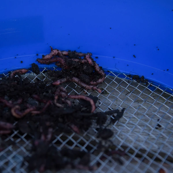 Cresta Supa Riddle Square Mesh 1 Cresta Supa Riddle Square Mesh